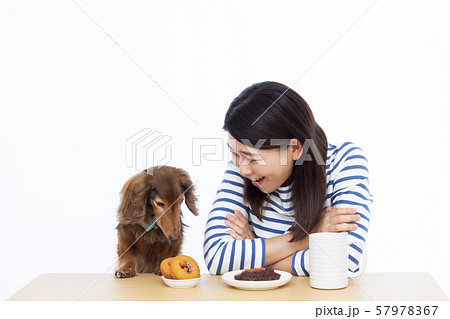 30代女性とミニチュアダックスフンド 57978367