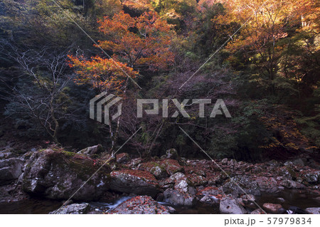 赤目四十八滝 赤目四十八滝 57979834