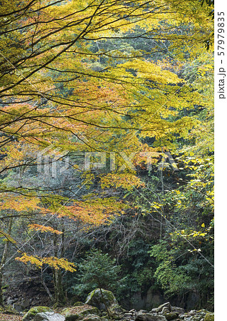 赤目四十八滝 57979835