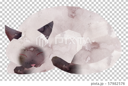 シャムネコ・寝る 57982576