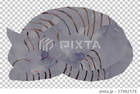 Sabatra / sleep 57982578