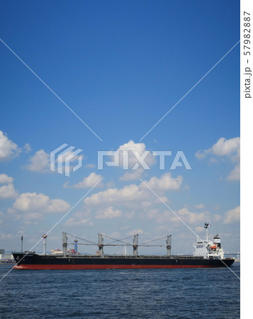 シーサイドコスモ(コスモスクエア海浜緑地)から見た大阪港と夢洲コンテナターミナル シーサイドコスモ(コスモスクエア海浜緑地)から見た大阪港と夢洲コンテナターミナル 57982887