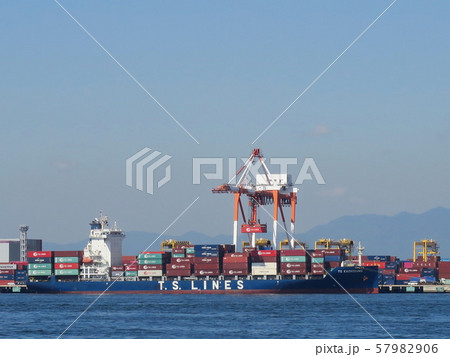 シーサイドコスモ（コスモスクエア海浜緑地）から見た大阪港と夢洲コンテナターミナル 57982906