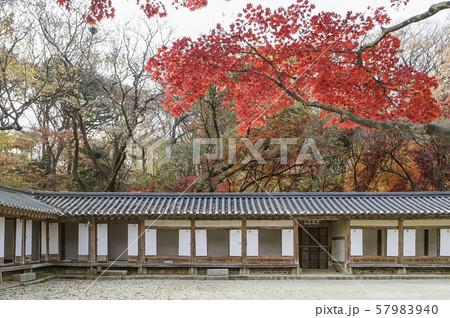 悲願 昌徳宮 建築 57983940