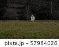 走り回る愛犬 57984026