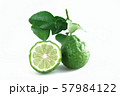 bergamot Thai herb for spa and hair treatment for 57984122
