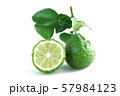 bergamot Thai herb for spa and hair treatment for 57984123