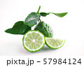 bergamot Thai herb for spa and hair treatment for 57984124