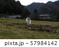 駆ける犬 57984142