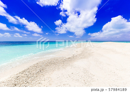 バラス島 57984189