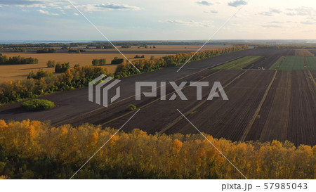 The drone is flying over the forest belt. Autumn. Yellow trees. Black field.View from above.FHD The drone is flying over the forest belt. Autumn. Yellow trees. Black field.View from above.FHD 57985043