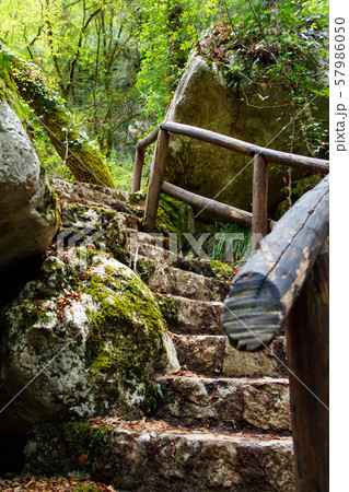 Stone stairs in the natural reserve of Morigerati 57986050