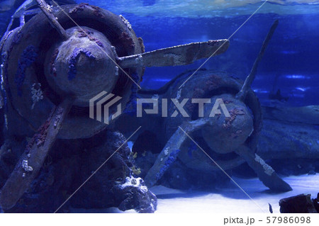 Sunken plane under water in Antalya aquarium of Turkey 57986098
