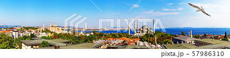 Istanbul skyline panorama: the roofs, the Hagia 57986310