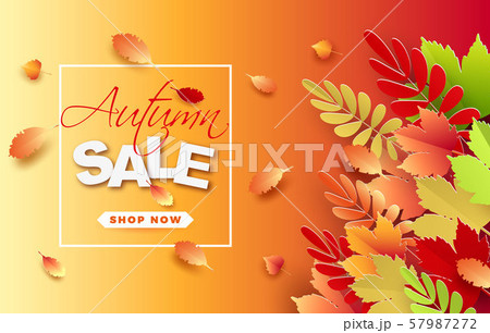 Banner for sale of autumn with colorful seasonal fall leaves for promotion of discounts. The autumn sale. Vector illustration. 57987272