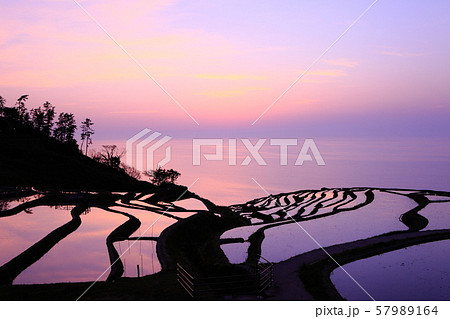 【石川県】白米千枚田の夕景 【石川県】白米千枚田の夕景 57989164