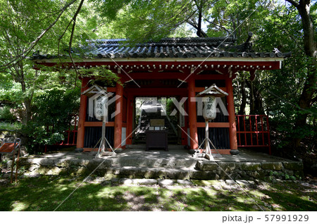 金蔵寺 山門 金蔵寺 山門 57991929