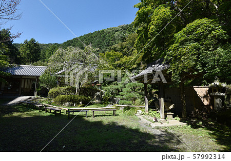 金蔵寺 境内 金蔵寺 境内 57992314