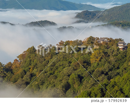 備中松山城と雲海 備中松山城と雲海 57992639