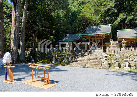 祈祷 神社 お祓い 大麻 大幣 おおぬさの写真素材 [57993039] - PIXTA