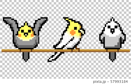 オカメインコのドット絵イラストセットのイラスト素材