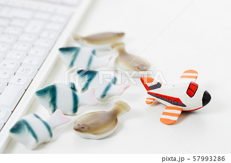 通販 通信販売 魚 鮮魚 漁業 パソコン 通販 通信販売 魚 鮮魚 漁業 パソコン 57993286