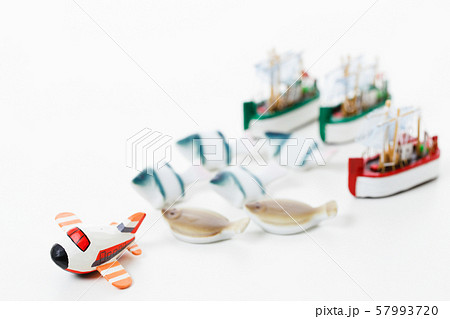 魚　鮮魚　漁業　魚介類　さかな　魚屋 57993720