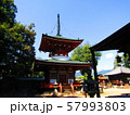 和歌山県旅行記（慈尊院の多宝塔） 57993803