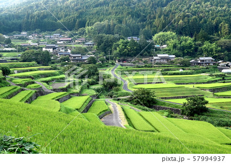 恵那市坂折棚田 57994937