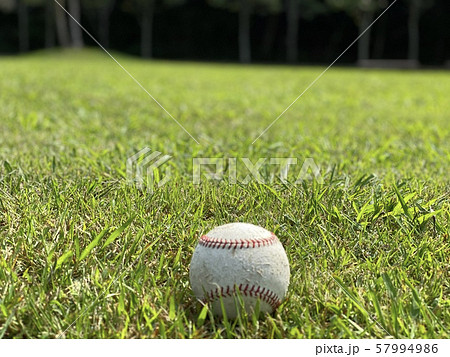 ⚾️野球 ⚾️野球 57994986