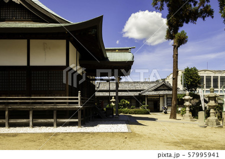 玉比咩神社　たまひめ神社　拝殿　岡山県玉野市 57995941
