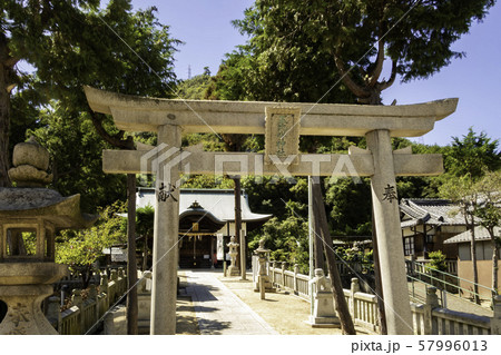 玉比咩神社　たまひめ神社　鳥居　岡山県玉野市 57996013