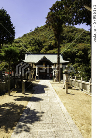 玉比咩神社　たまひめ神社　参道　岡山県玉野市 57996131