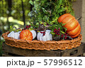 ハロウィン 57996512