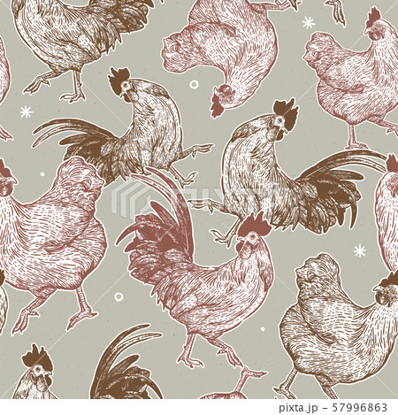 chicken collection seamless pattern, hand drawのイラスト素材 [57996863] - PIXTA