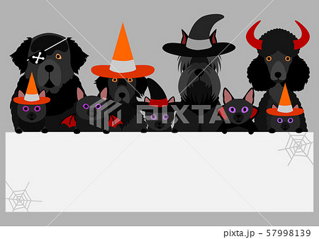 ハロウィン　犬と猫　ホワイトボード 57998139