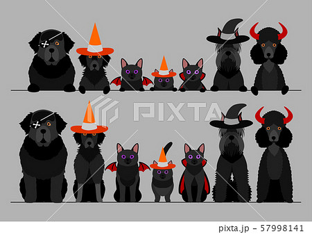 ハロウィン 犬と猫 大型犬 ボーダーのイラスト素材