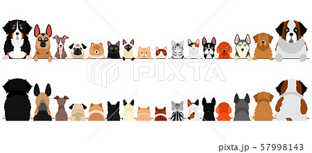 犬と猫のボーダー　小型犬と大型犬　上半身　前後セット 57998143