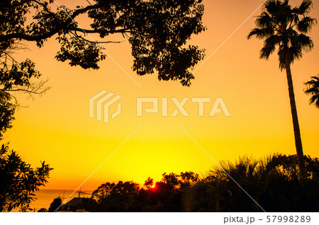 夕暮れ散歩 夕暮れ散歩 57998289