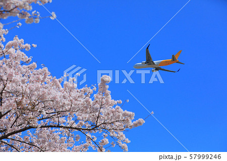 春の離陸 57999246