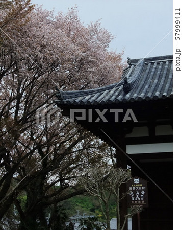四国八十八箇所霊場 第52番札所 太山寺 四国八十八箇所霊場 第52番札所 太山寺 57999411