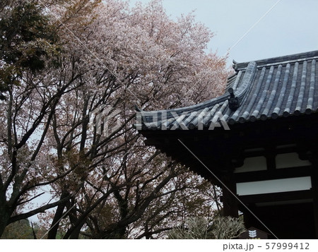 四国八十八箇所霊場　第52番札所 太山寺 57999412