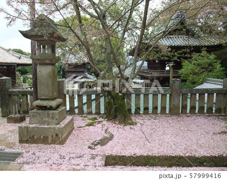 四国八十八箇所霊場　第52番札所 太山寺 57999416