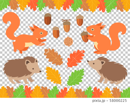 秋天的樹林，松鼠，刺猬，橡子的插圖集 58000225