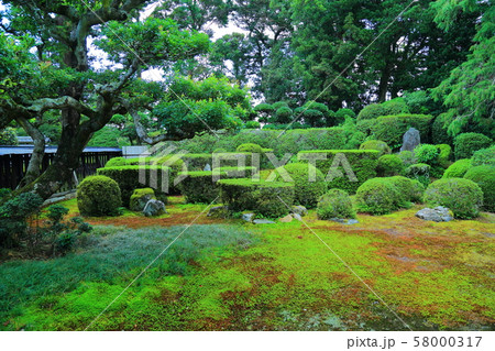 医王寺 医王寺 58000317