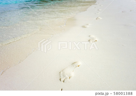 footprints on a tropical beach footprints on a tropical beach 58001388