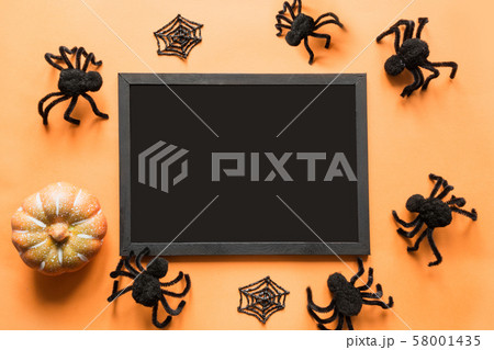 Halloween holiday blank with black spider, bat 58001435