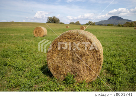 Haystacks on the meadow in Hungar 58001741