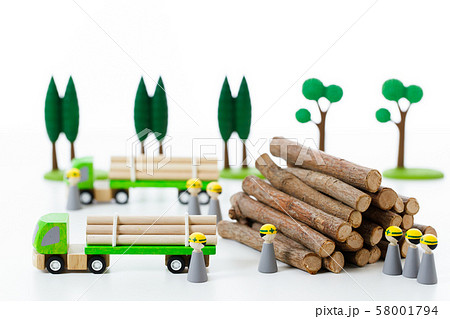 林業 木材 材木 木 林 森 伐採の写真素材