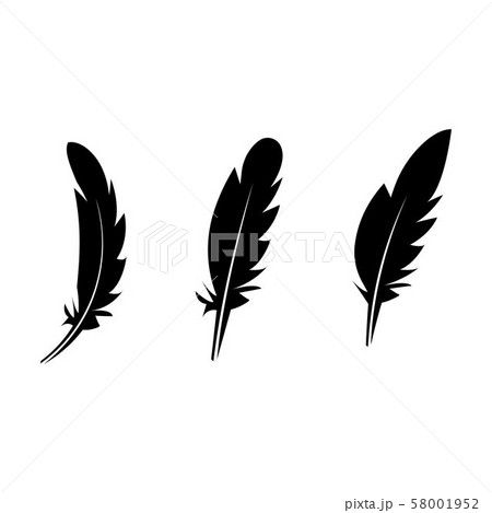 feather icon Vector Illustration design Logo 58001952